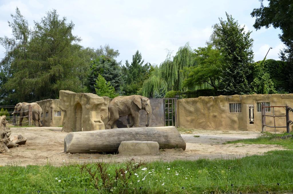 Vila Katerina Broumov Buitenkant foto